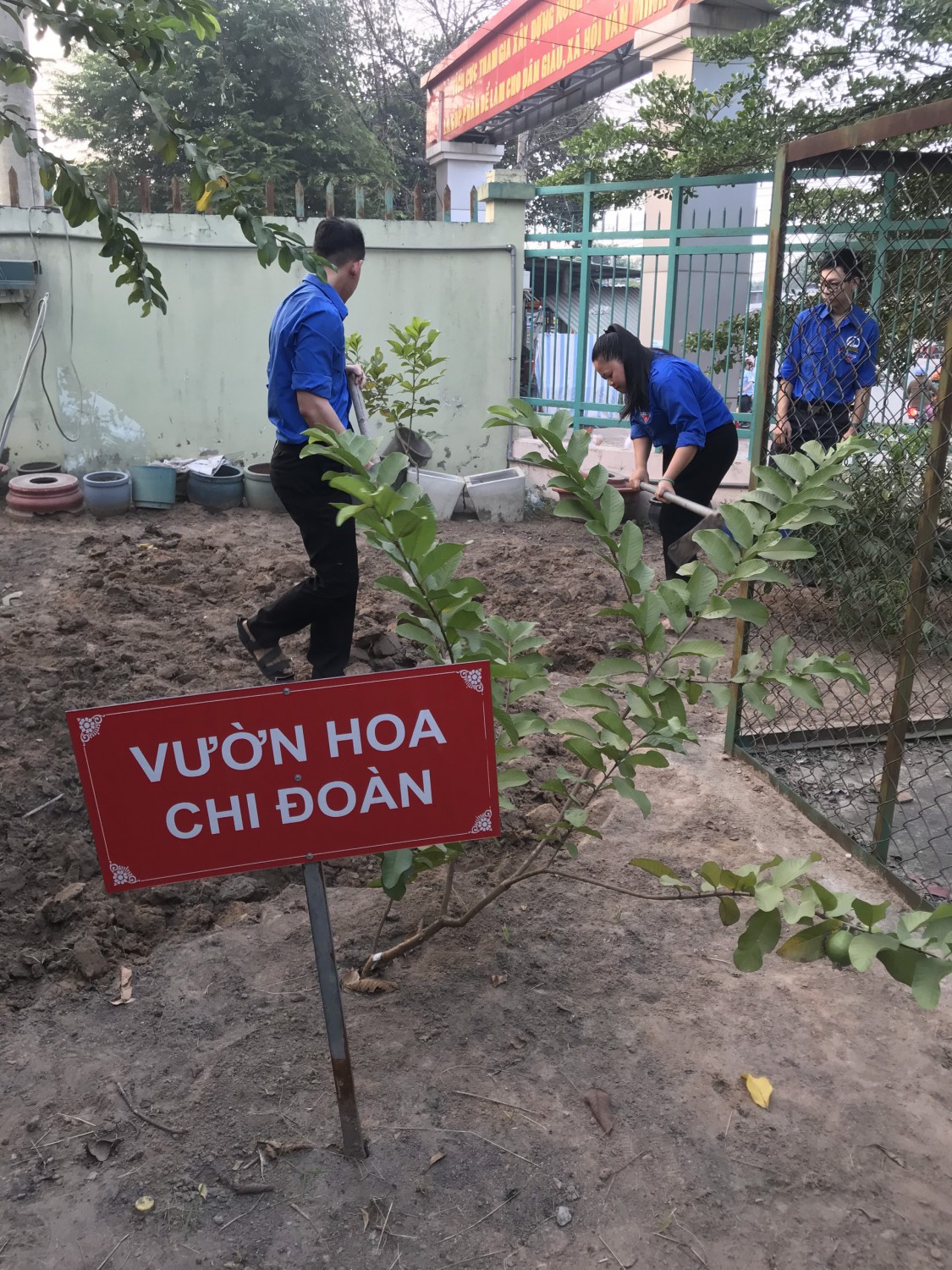 Hoạt động xây dựng vườn hoa chi đoàn năm học 2019-2020